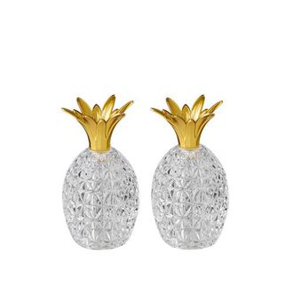 Mario Luca Giusti Caterina & Vittoria Salt and Pepper Shakers in Clear at Nordstrom