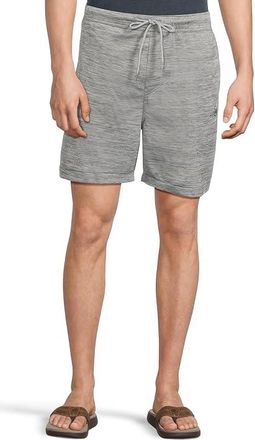 Hurley H2o Dri Daybreak Shorts Mens Shorts Stone Grey : 2XL (42-44 Waist) 8, Polyester
