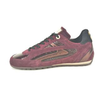 Floris Van Bommel Dames, Schoenen, Veelkleurig, Maat: 38 EU