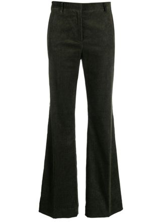 Antonelli flared corduroy trousers - Green