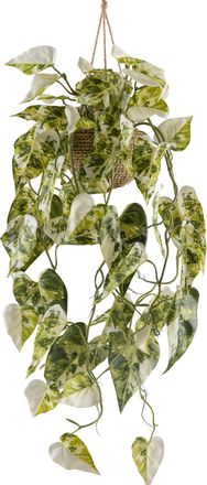 Creativ Green Kunstpflanze