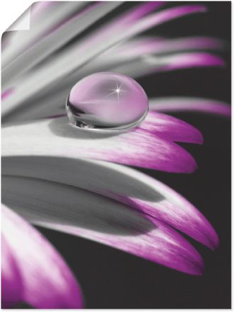 Artland Wandbild »Tropfen« 1 Stk. tlg. als Leinwandbild, Poster, Wandaufkleber in verschied. Grössen