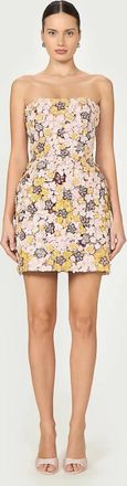 Costarellos Sirra Embroidered Strapless Mini Dress In Beige