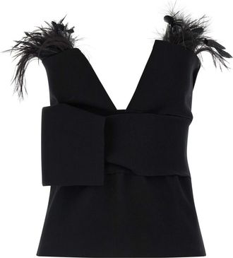 Alberta Ferretti Black Feather top
