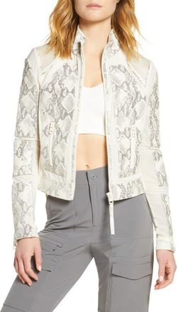 Blanc Noir Snakeskin Print Quilted Leather & Mesh Moto Jacket at Nordstrom, Size X-Small
