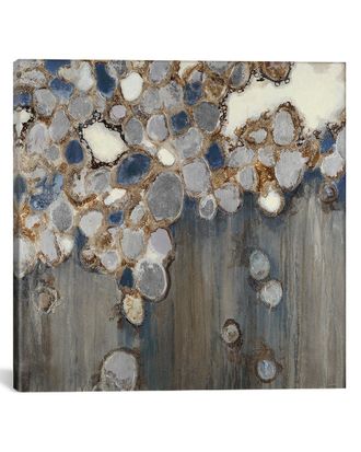 iCanvas Icanvas Indigo Oyster Shells By Liz Jardine
