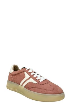 Shushop Poppy Sneaker in Dust Pink Suede at Nordstrom, Size 7.5