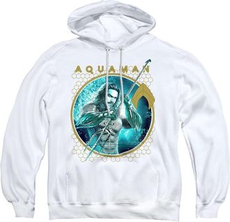 Gildan Aquaman Movie Trident Of Neptune Adult Pull Over Hoodie / Hooded Sweatshirt
