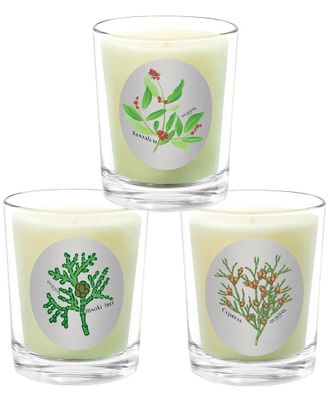 Qualitas 3pc Candle Set - Cypress, Santalum, & Hinoki Tree