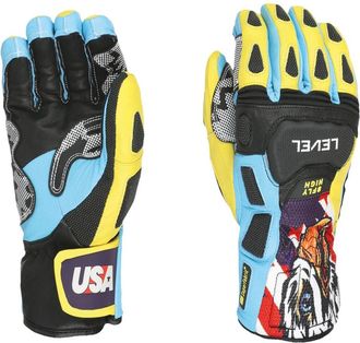 Level SQ CF Glove - Heren - Ski Accessoires - Veelkleurig - 8 1/2 IN - Wol - Fitness
