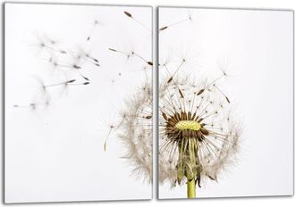 OEM Placa Protectora De Vidrio Para Estufa 2x40x52 Flor