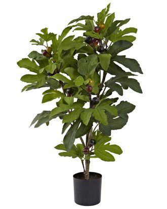 Nearly Natural 32In Fig Tree With 15 Figs