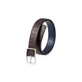 Paul Fredrick Ostrich Embossed Reversible Belt in Navy/brown at Nordstrom, Size 40