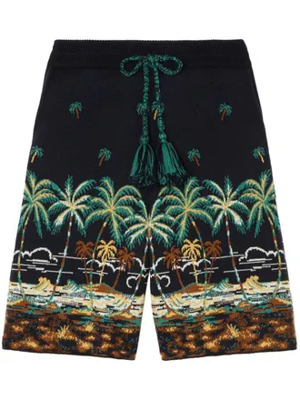 Alanui Shorts met print - Blauw