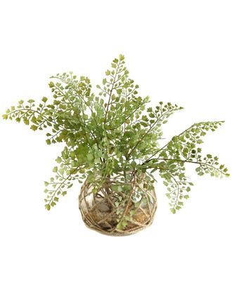 D&W Silks Flat Iron Maiden Hair Fern In Glass Ball With Seagrass Netting