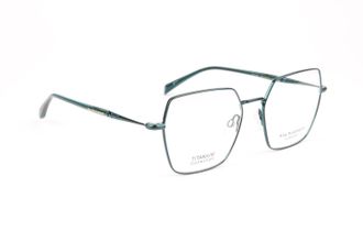 Ana Hickmann Optical Frame AH1548T 12A 54 Titanium