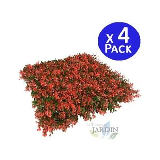 No Brand Set di 4 Giardino Verticale Natus 50 x 50 cm. Creano Ambienti di Grande Originalit&agrave; e Freschezza