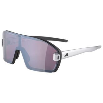 Alpina Bonfire Mag Q S1 + S3 Sonnenbrille - Unisex | grau