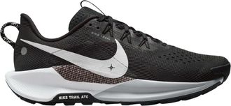 Nike Pegasus Trail 5-schoenen met demping voor heren (Zwart/Grijs)