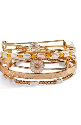 Alex and Ani Daisy Bangle Bracelet Set of 5 in Gold at Nordstrom