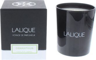 TJ Hughes Lalique Osmanthus Himalaya Nepal Candle 190g - TJ Hughes