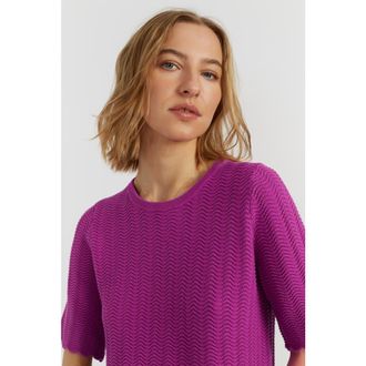 Chinti and Parker Cotton Crochet Tee in Magenta at Nordstrom, Size X-Large