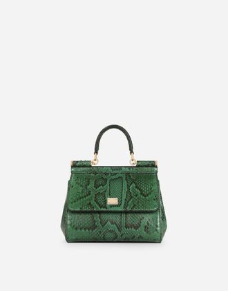【VIP価格】DOLCE&GABBANA Green Exotic Leather Crossbody Bag DOLCE & GABBANA Bag Green Exotic Leather DG Plaque Crossbody
