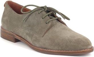 Gentle Souls Aronson Derby in Algae Suede at Nordstrom, Size 7.5