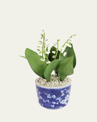 Tommy Mitchell Lily of the Valley May Birth Flower in Ceramic Pot