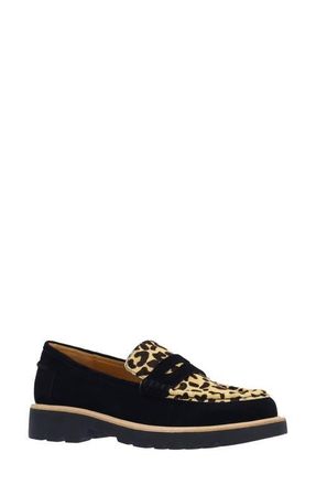 L'Amour Des Pieds Yolandi Genuine Calf Hair Penny Loafer in Black/Brown at Nordstrom, Size 6.5