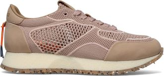 Barracuda Sneakers, female, Pink, 5 1/2 UK, Rocket Sneaker