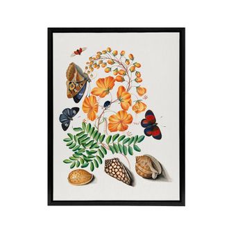 Artery8 Flowers Butterflies & Seashells Bolton Black Framed Canvas Wall Art | Size: W24 x H32