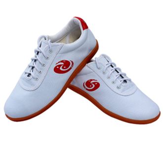 Generic Taekwondo Shoes, Unisex Boxing Sport Gym for Children Adults for Karate Kung Fu(White,9.5 UK)