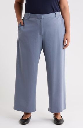 Eileen Fisher High Waist Ankle Wide Leg Pants in Flint at Nordstrom, Size 1X