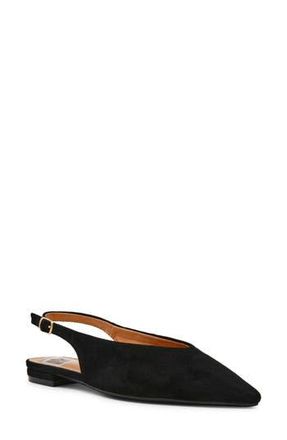 Dolce Vita Empress Pointed Toe Slingback Flat in Black at Nordstrom Rack, Size 7.5