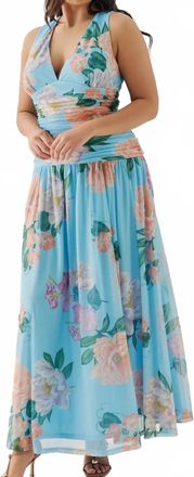 Hutch Jadey Maxi Dress In Sky Floral