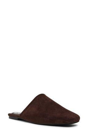 Dolce Vita Felicia Mule in Brown Faux Suede at Nordstrom Rack, Size 8.5