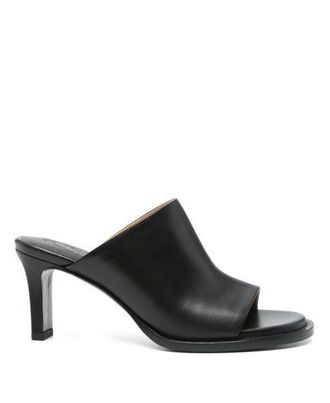 Tod's Mule