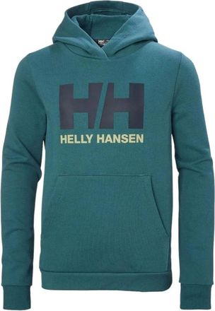 Helly Hansen Kids Sweatshirts, male, Green, 10 Y, Hoodies