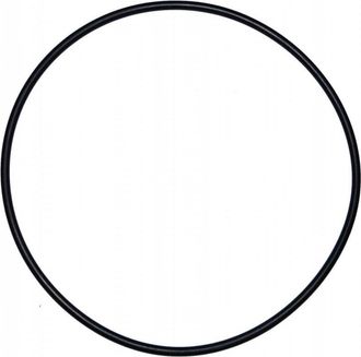 AquaLuxBad Junta T&oacute;rica De 200 Mm De Di&aacute;metro Para El Antiguo Modelo De C&uacute;pula Filtrante De Calpas (d.195 Mm)