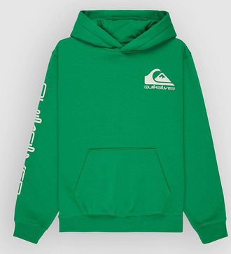 Quiksilver Omni Logo Kids Hoodie groen