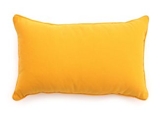 Kees Smit Lendekussen 50x30cm