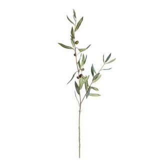 Napa Home & Garden Olive Green Plastic Stems With Olives 32 Set of 4 at Nordstrom