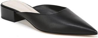 Franco Sarto Bennet Pointed Toe Mule in Black at Nordstrom, Size 5.5