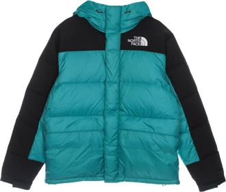 The North Face Groene Down Parka Jas - Heren - Gewatteerde jassen - Groen - XL - Nylon - Jassen