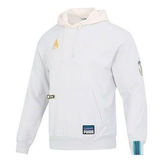 Puma Team Badge Team Badge Hoodie Grey 677377-72