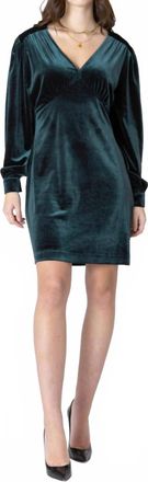 Dex Clothing Velvet Mini Dress In Pine