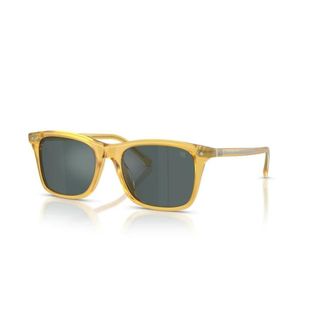 Ralph Lauren Rl8242U Sunglasses - male - Ralph Lauren - Sunglasses - Brown - 54 MM - Accessories