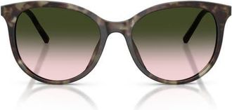 Dolce & Gabbana 55mm Phantos Sunglasses in Green Havana /Brown Green at Nordstrom