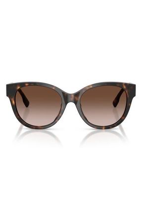Tory Burch 54mm Phantos Sunglasses in Dark Tortoise /Dark Tortoise at Nordstrom